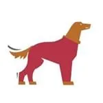 K9 Top Coat discount code